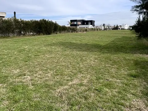 Terreno en Venta 40  mts Fondo