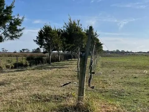 CHACRA  LA MANSA