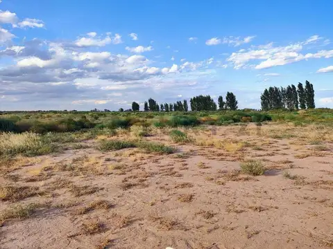 VENTA DE FINCA EN LAVALLE.