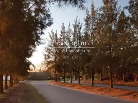 Terreno en Venta de 1000,0 m2