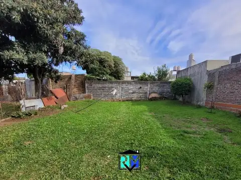 Colon 1000