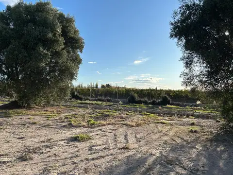 Terreno en Venta en Las Paredes, USD 24.000