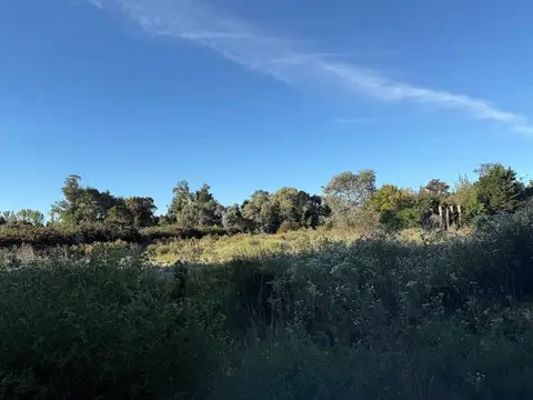 Ruta Provincial 47