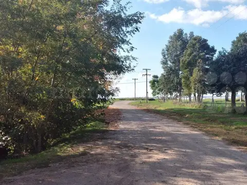 LOTE ARBOLADO EN ESQUINA A PASOS DE LA LAGUNA DE CHASCOMUS