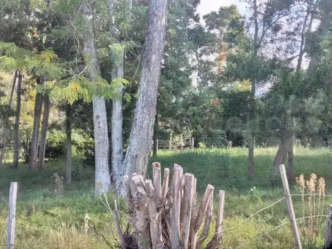 Terreno en Venta 21,80  mts Fondo