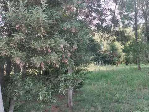 Terreno en Venta de 891,0 m2