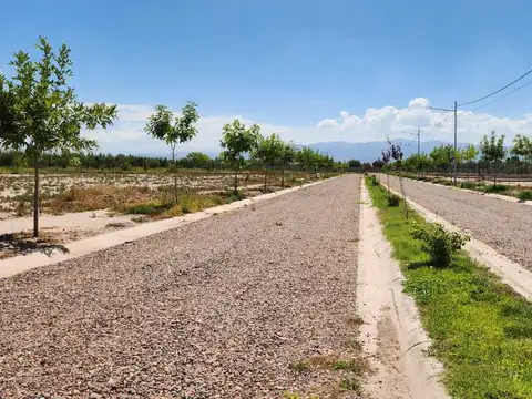 Terreno en Venta de 900,0 m2