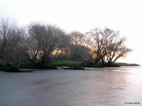 CAMPO EN VENTA COSTA DE RIO DE LA PLATA ATALAYA