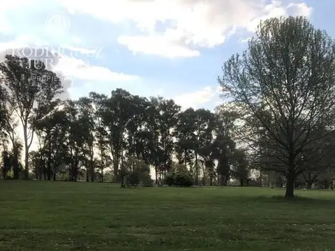 Terreno en Venta de 1505,0 m2