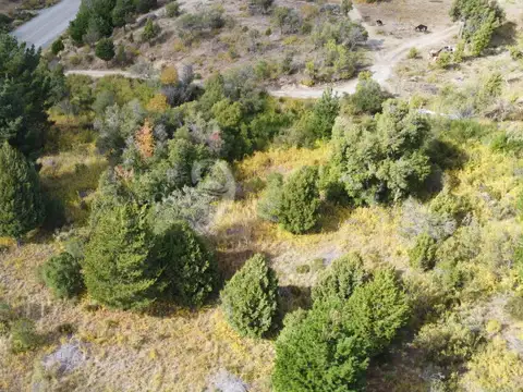 Venta fracción de 11 héctareas en Epuyén