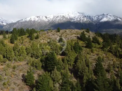 RP A15, Epuyén