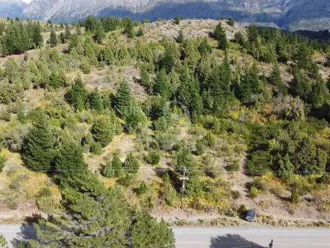 Venta fracción de 11 héctareas en Epuyén
