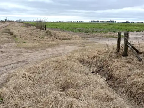 CAMPO 13,5 HA - VENADO TUERTO