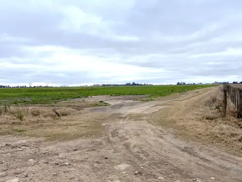 Zona Rural
