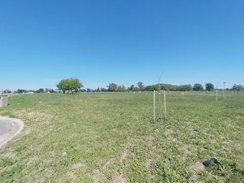 Doctor Manuel Argerich 1200