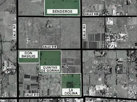 501 Y  161 Gorina La Plata