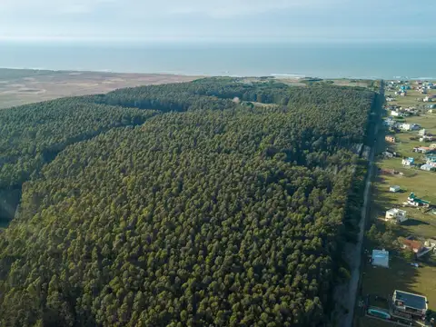 Terreno en Venta en Balneario Camet Norte, USD 42.000