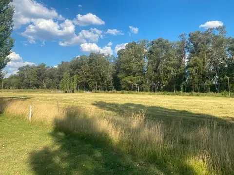RUTA 5 100