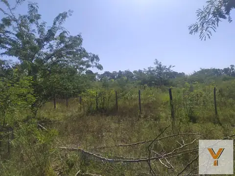 Terreno en venta - 10.000Mts2 - El Remanso, Exaltación de La Cruz
