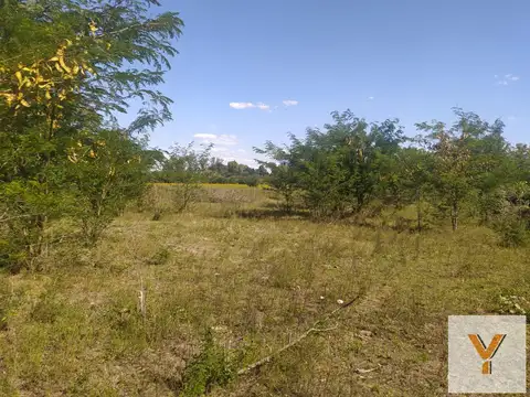 Terreno en venta - 10.000Mts2 - El Remanso, Exaltación de La Cruz