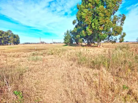 Campo en Venta de 12  ha