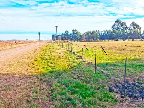 San Pedro 11.8 ha