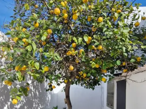Luis Maria Campos 5500