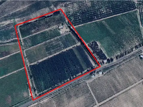 FINCA MENDOZA | 16 HAS. |  CON UNIDAD PRODUCTIVA