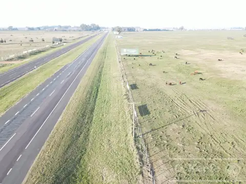 Campo en venta 106 has Brandsen. Apto  Desarrollo