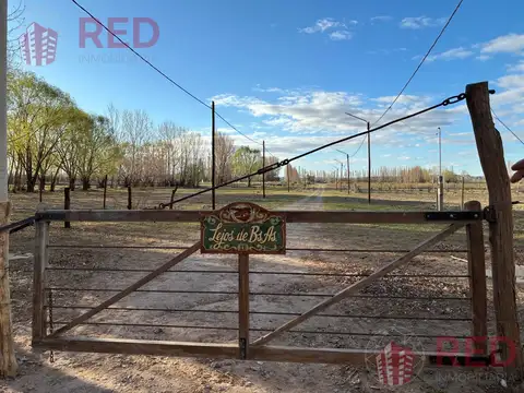Terreno en loteo agro-turístico, Senillosa