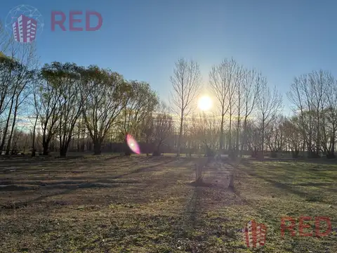 Terreno en Venta 130  mts Fondo
