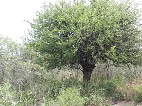 00211 - Vendo Casa con terreno de 900 m² en San Marcos Sierras