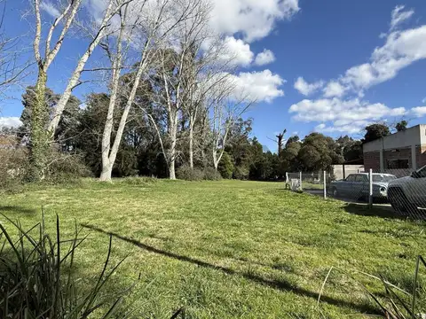 Los Claveles 100, Piso 0