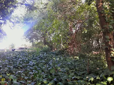 Terreno en Venta en Villa De Mayo, USD 230.000