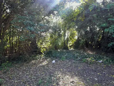 Terreno en Venta 77  mts Fondo