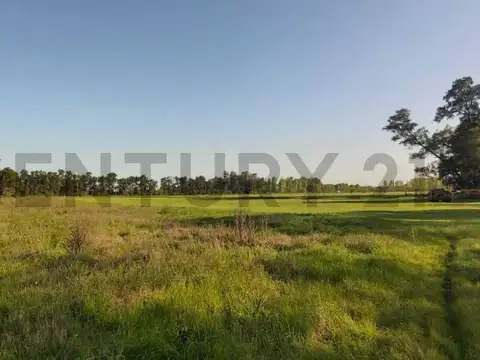 Venta  Campo 28 hectáreas en  Gral. Rodriguez