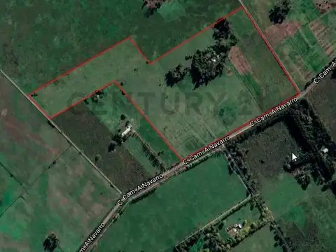 Venta  Campo 28 hectáreas en  Gral. Rodriguez