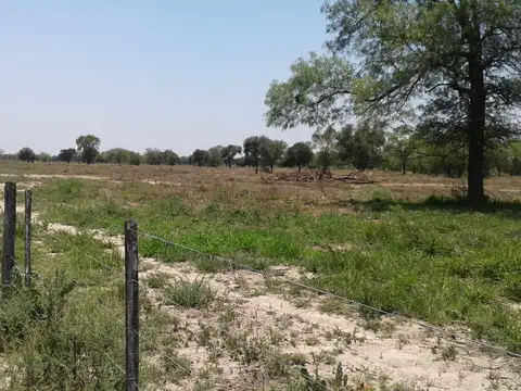 Zona  Garza Santiago Del Estero  campo ganadero 1063 has