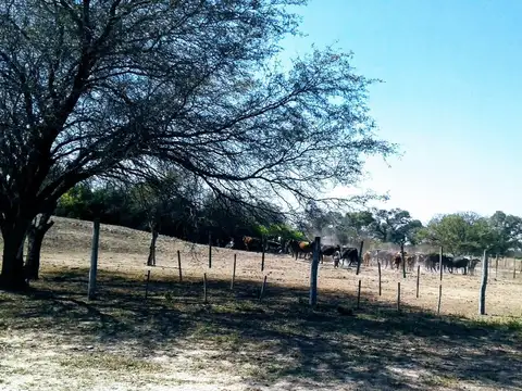 Campo en Garza Santiago del Estero