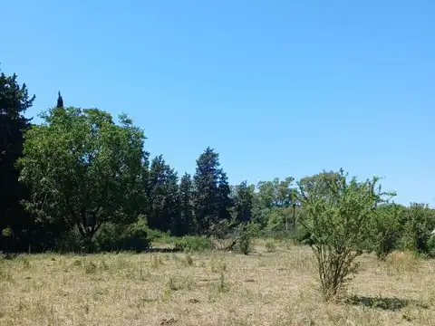 VENTA TERRENO SAMPACHO CORDOBA