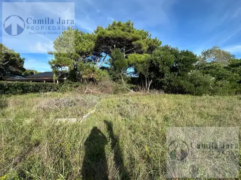 Terreno en Venta 40  mts Fondo