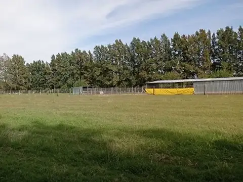 VENTA CAMPO EN CARDALES