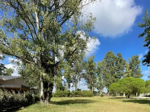 Terreno en Venta de 1048,0 m2