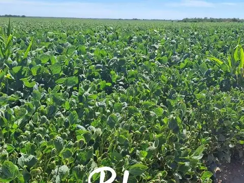 Villa Mercedes, San Luis -