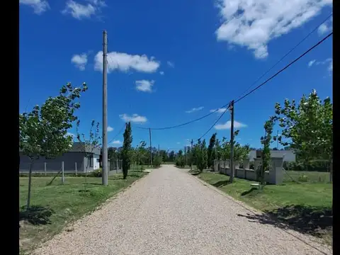 Estilo Campo