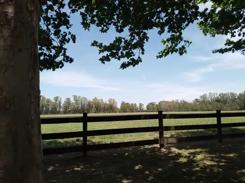 Terreno en Venta en General Rodríguez, USD 80.000