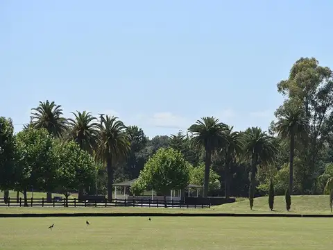 Technopolo