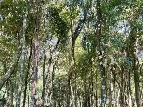 AV. Quiroga y Sáenz Peña