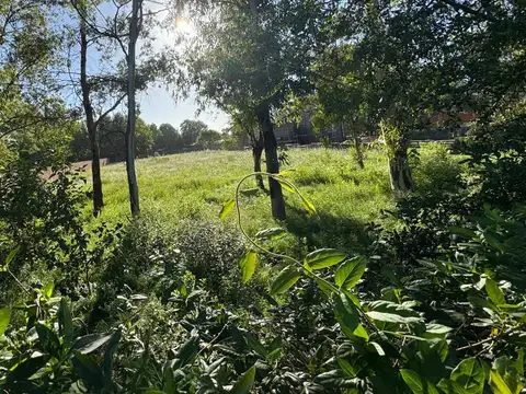 Terreno en Venta 12  mts Frente