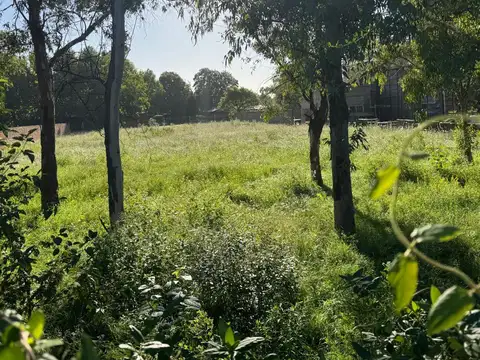 Terreno en Venta 71  mts Fondo